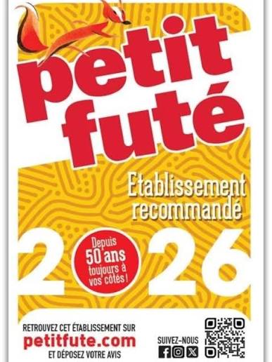 Logo de la marque petit futé, guide des stages de tennis, partenaire du Val d'Allos International tennis camp organisateur de stage de tennis